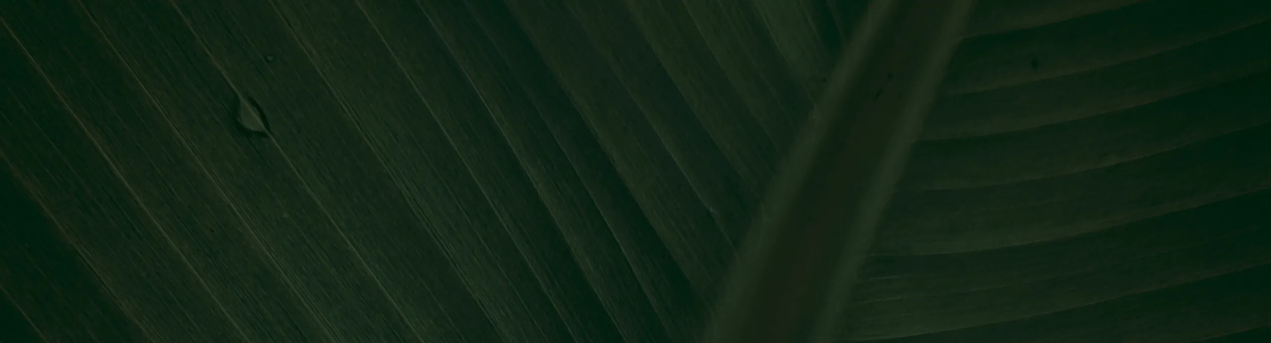 Cinnamon Infused Honey